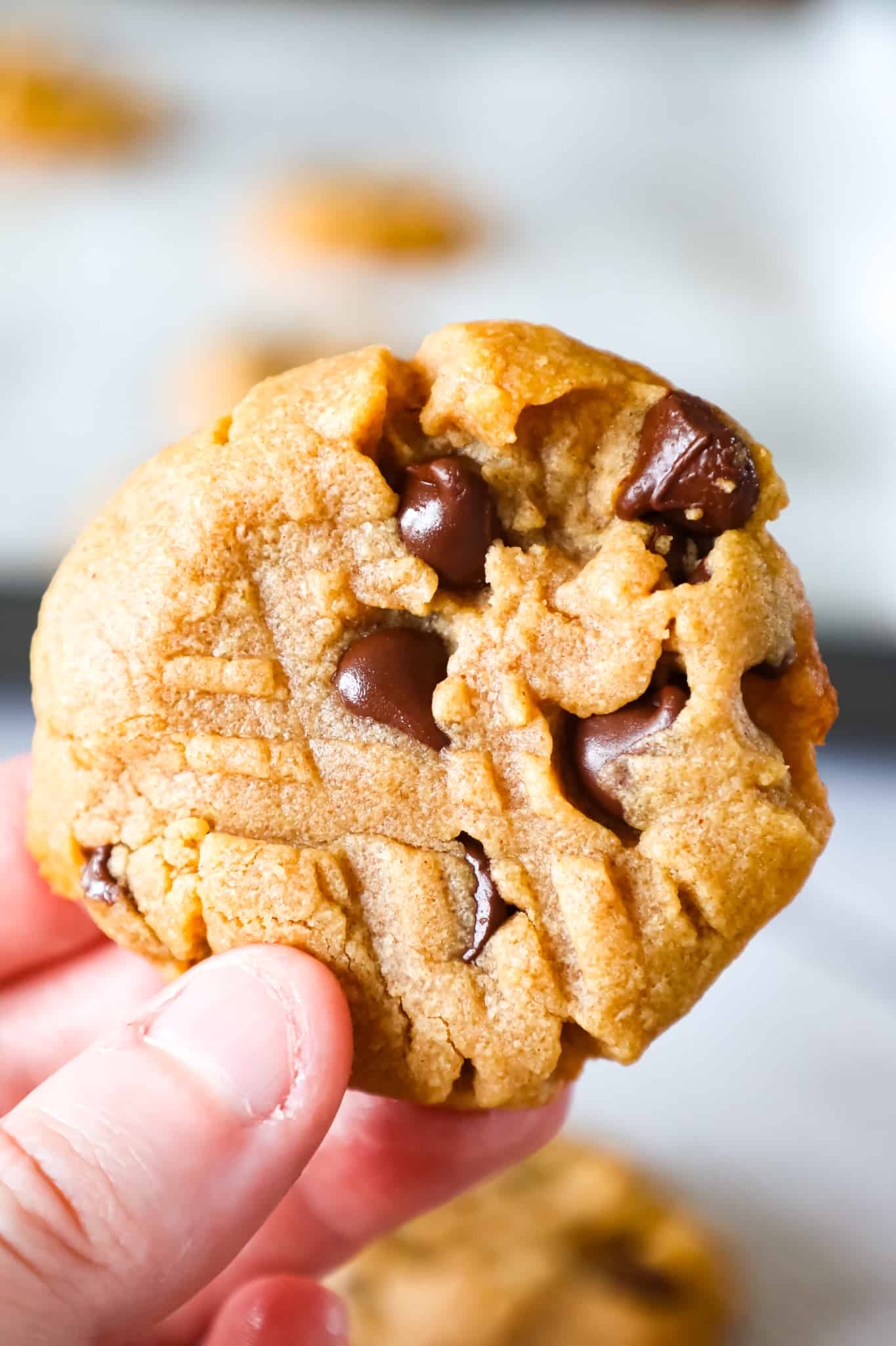 Peanut Butter Chocolate Chip Cookies are simple and delicious peanut butter cookies loaded with semi sweet chocolate chips.