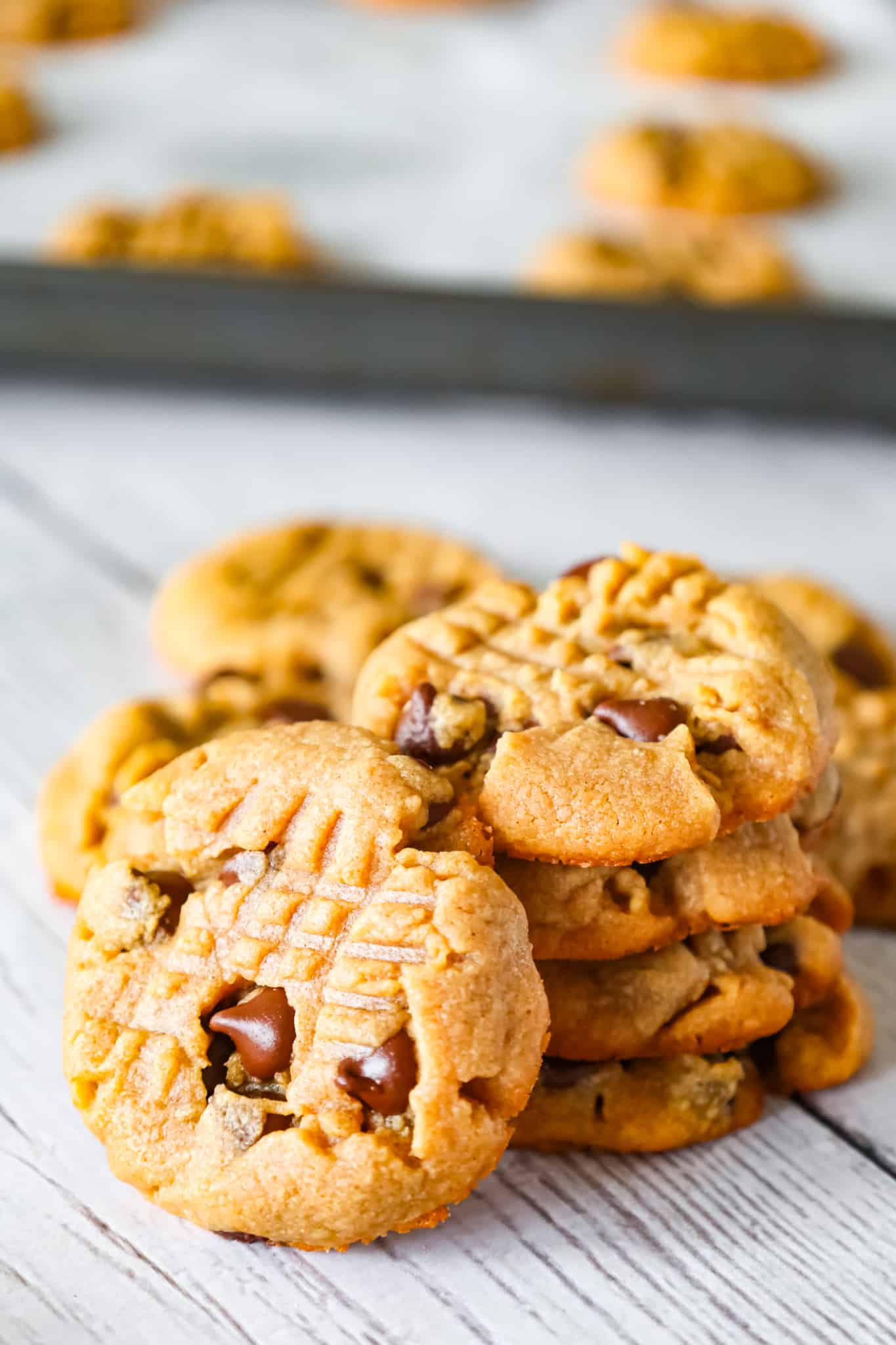 Peanut Butter Chocolate Chip Cookies are simple and delicious peanut butter cookies loaded with semi sweet chocolate chips.
