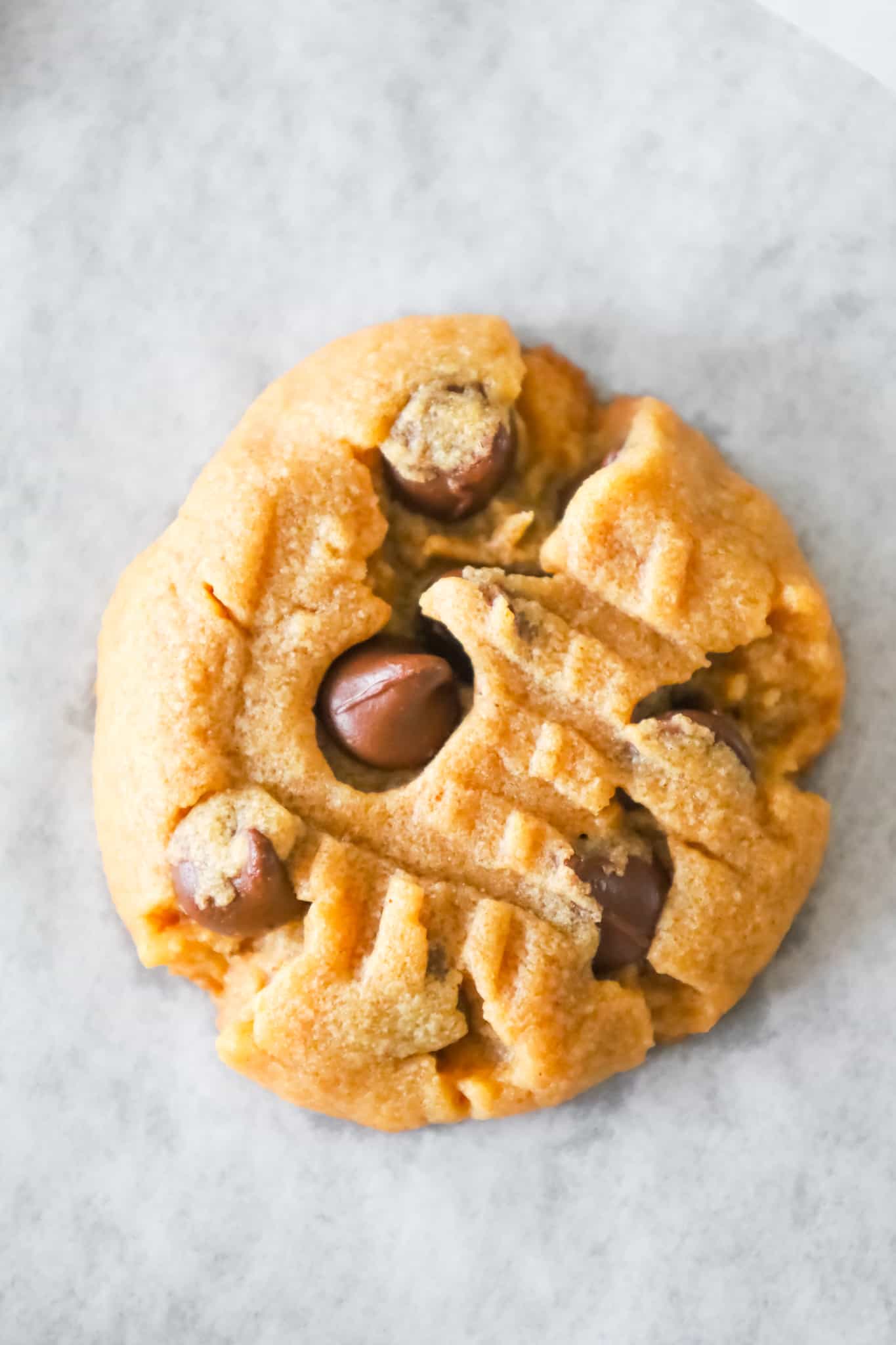 Peanut Butter Chocolate Chip Cookies are simple and delicious peanut butter cookies loaded with semi sweet chocolate chips.