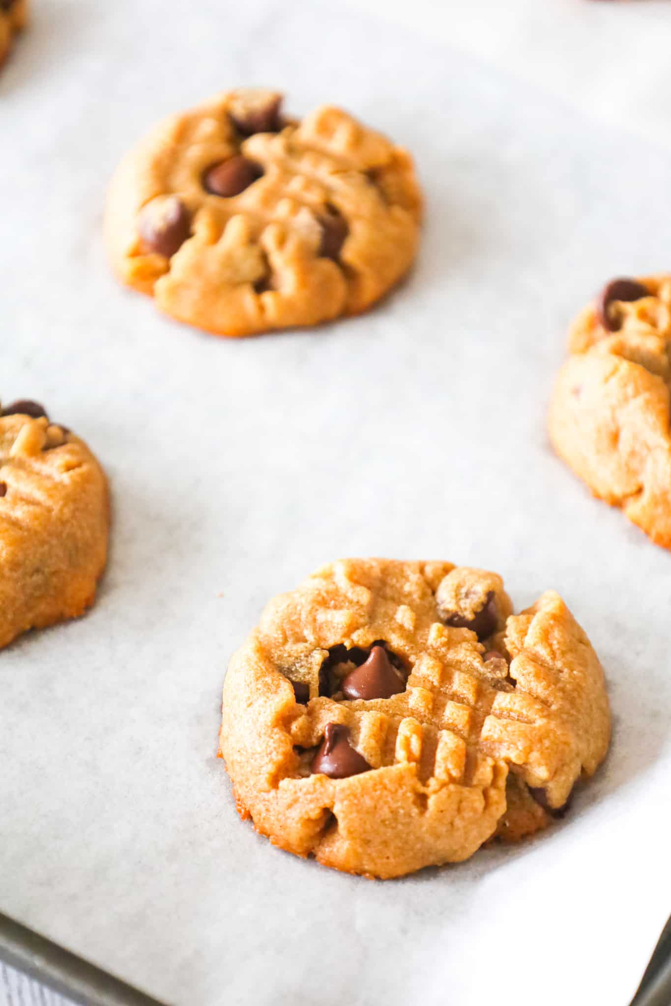 Peanut Butter Chocolate Chip Cookies are simple and delicious peanut butter cookies loaded with semi sweet chocolate chips.