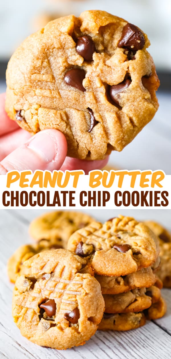 Peanut Butter Chocolate Chip Cookies are simple and delicious peanut butter cookies loaded with semi sweet chocolate chips.