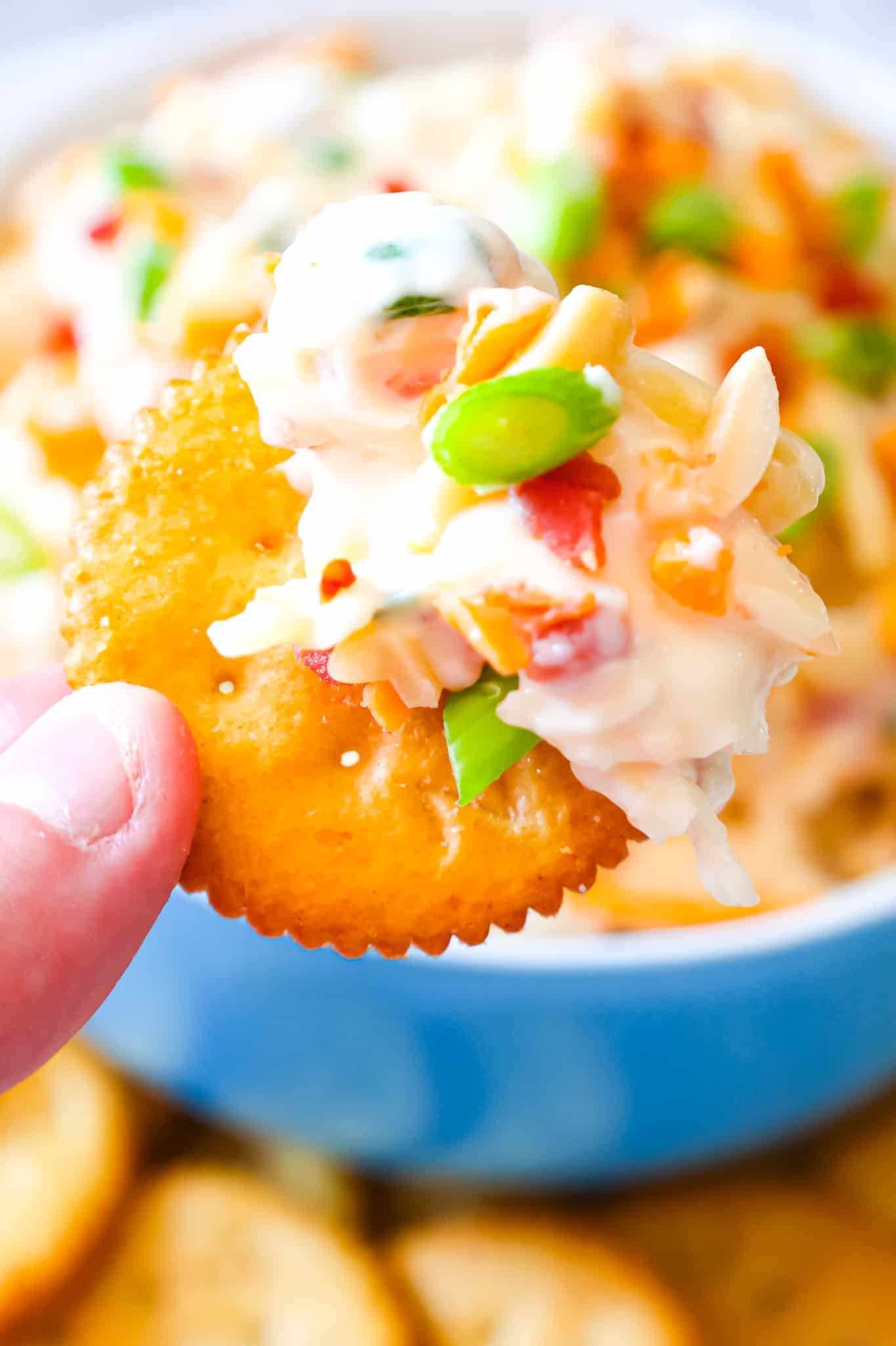 Million Dollar Dip is a delicious cold party dip recipe loaded with crumbled bacon, slivered almonds, chopped green onions, mayo, parmesan, mozzarella and cheddar cheese.