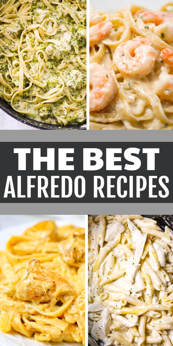 A variety of recipes with alfredo sauce including shrimp alfredo, chicken alfredo, Crock Pot alfredo and Instant Pot Alfredo.