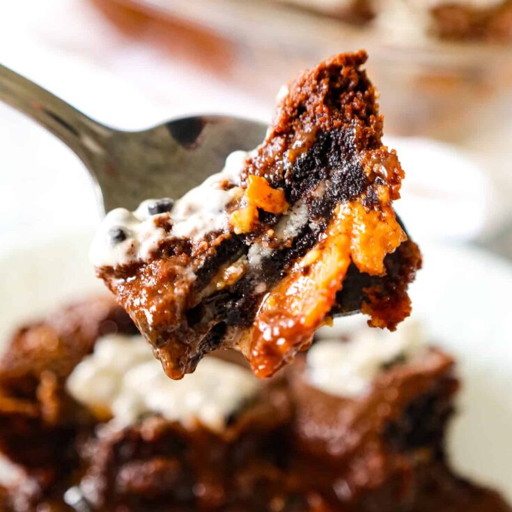Oreo Dump Cake is an easy and decadent dessert recipe using Oreo cookies, white frosting, chocolate cake mix, sweetened condensed milk and butter.