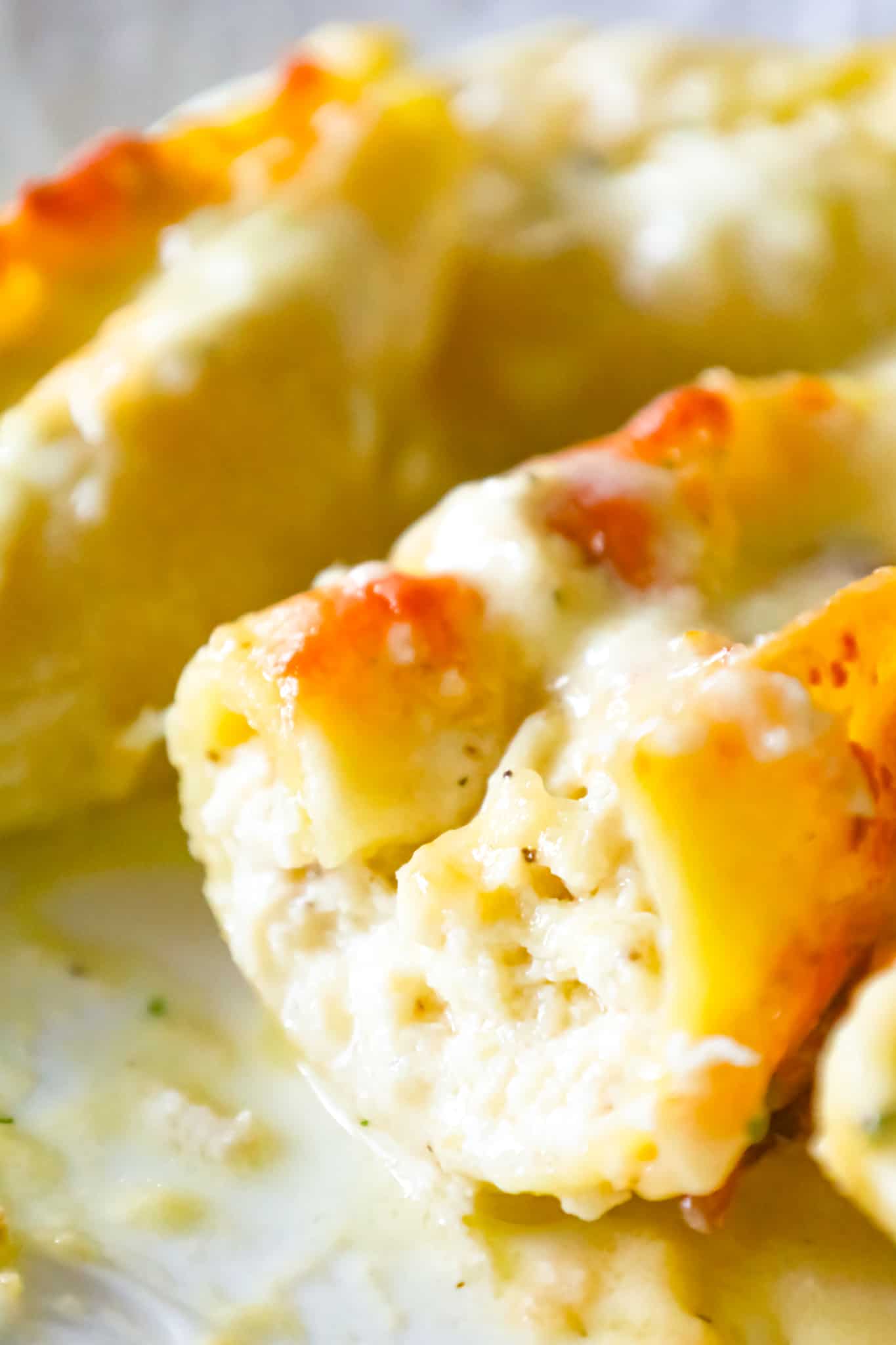 Chicken Alfredo Stuffed Shells are a delicious baked pasta recipe loaded with ricotta cheese, shredded chicken, mozzarella and parmesan all in a creamy garlic sauce.