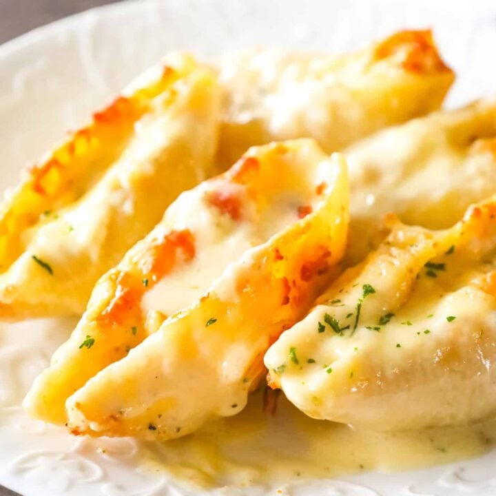 Chicken Alfredo Stuffed Shells are a delicious baked pasta recipe loaded with ricotta cheese, shredded chicken, mozzarella and parmesan all in a creamy garlic sauce.