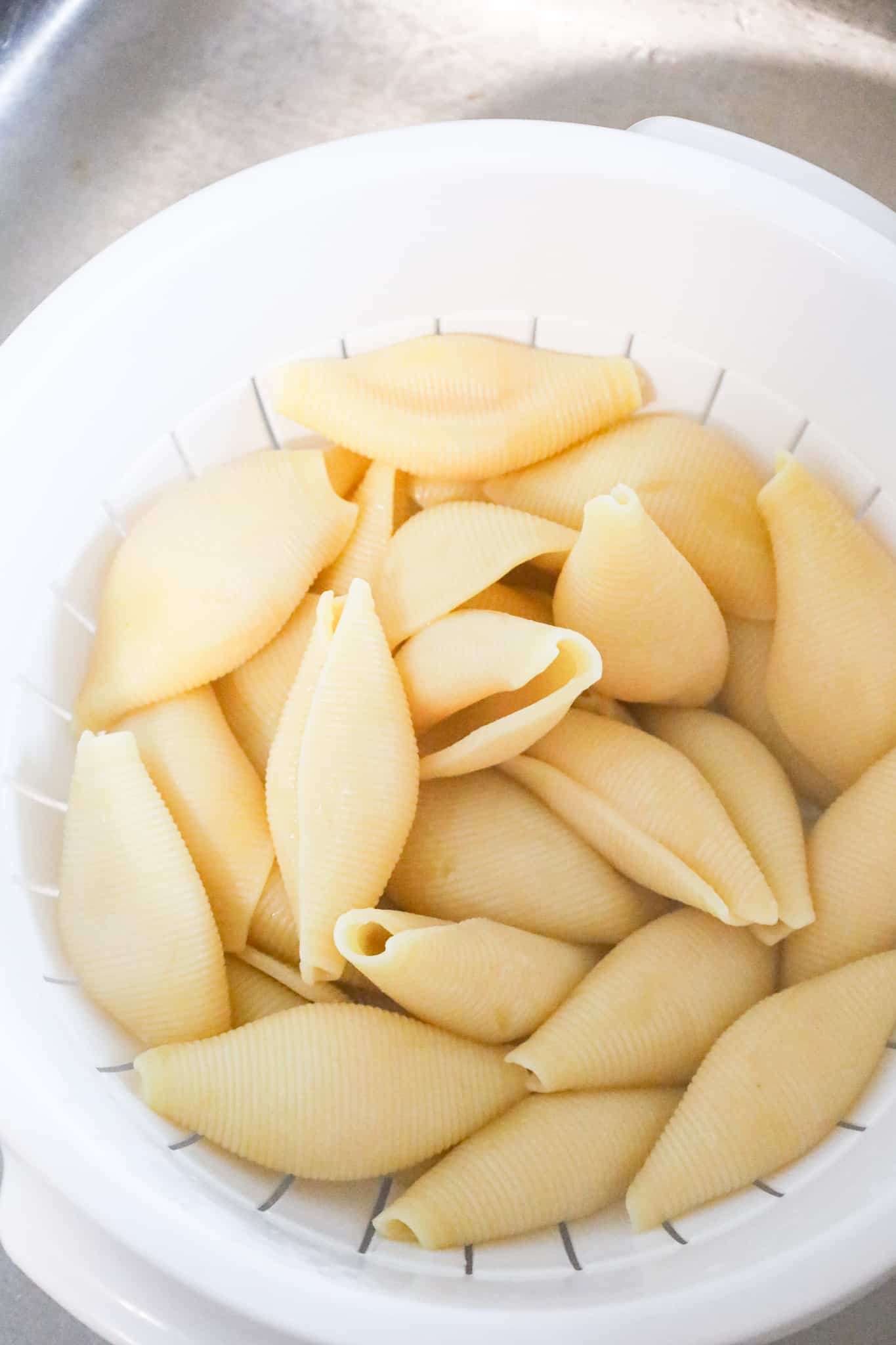 cooked jumbo pasta shells