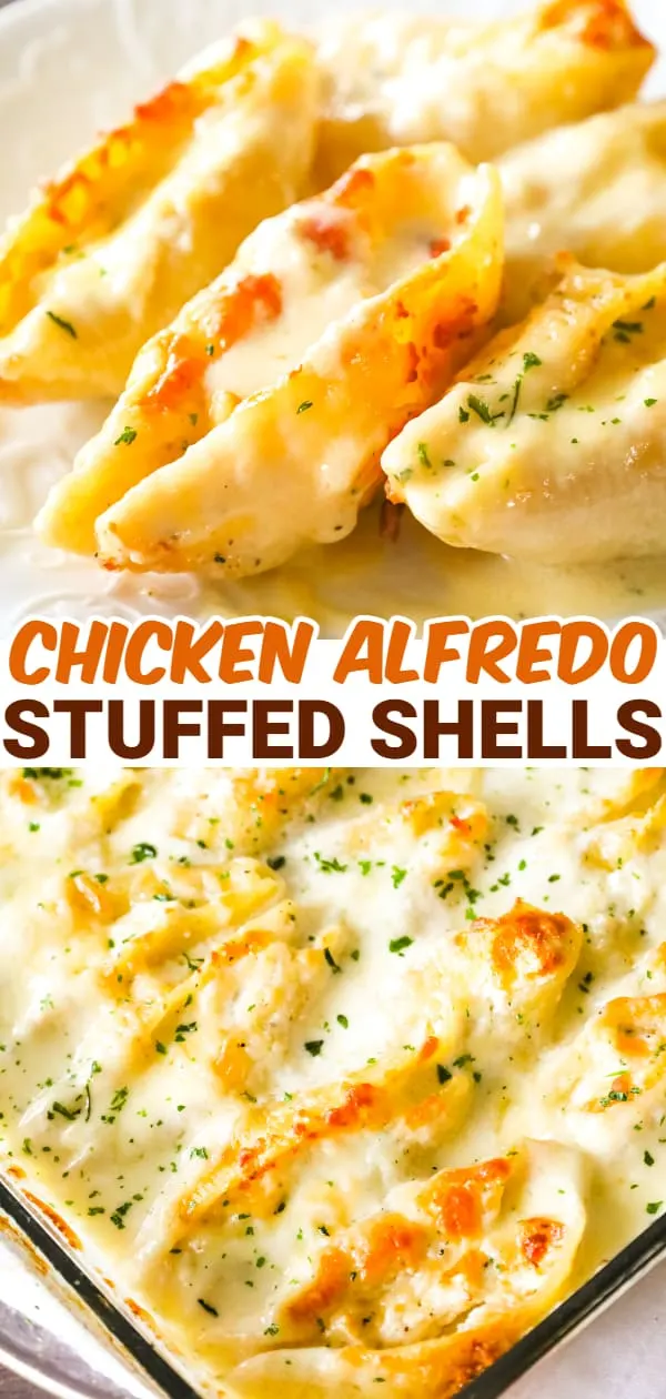 Chicken Alfredo Stuffed Shells are a delicious baked pasta recipe loaded with ricotta cheese, shredded chicken, mozzarella and parmesan all in a creamy garlic sauce.