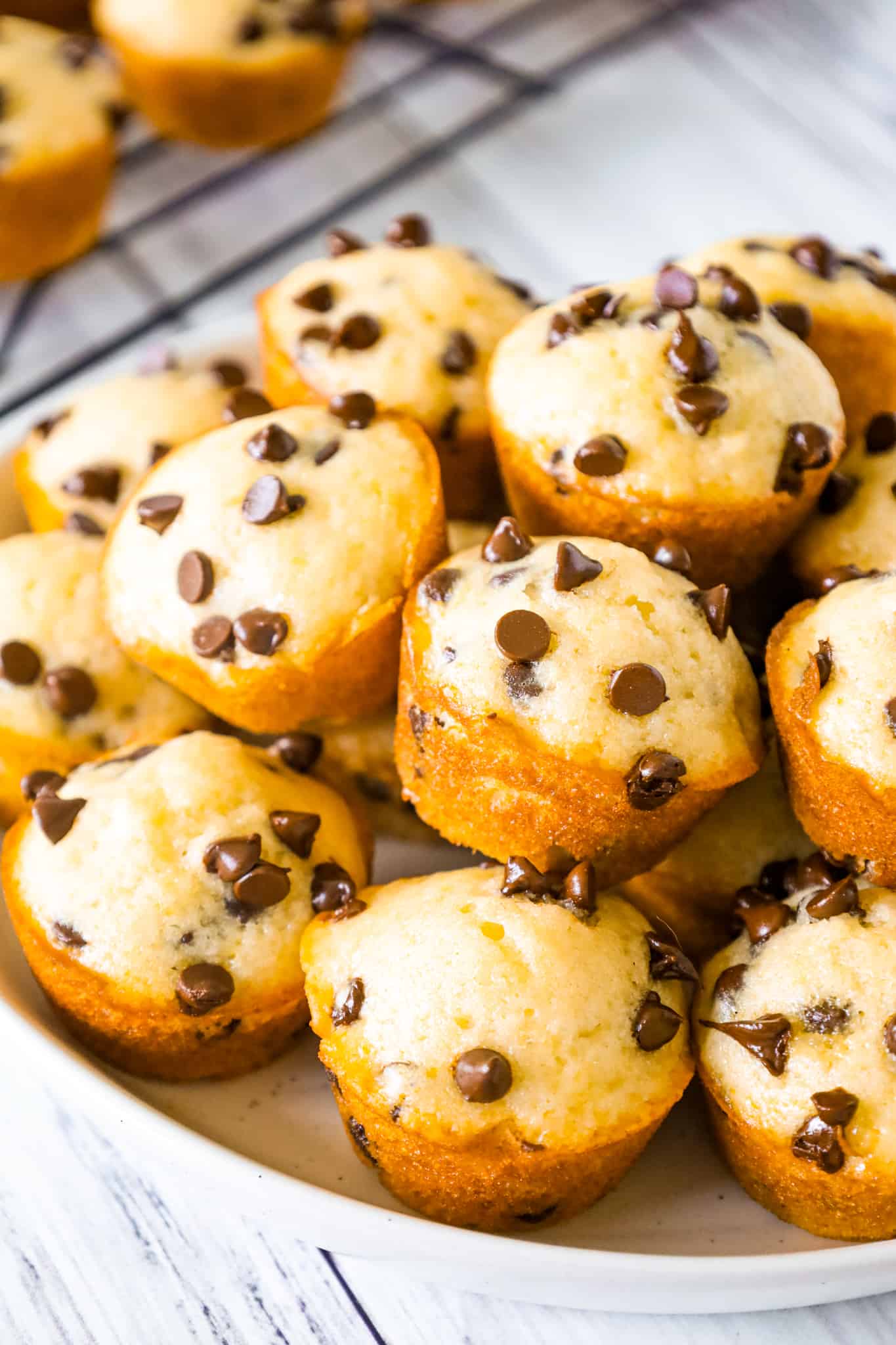 Mini Chocolate Chip Muffins are a tasty bite sized snack recipe that is sure to please both kids and adults.