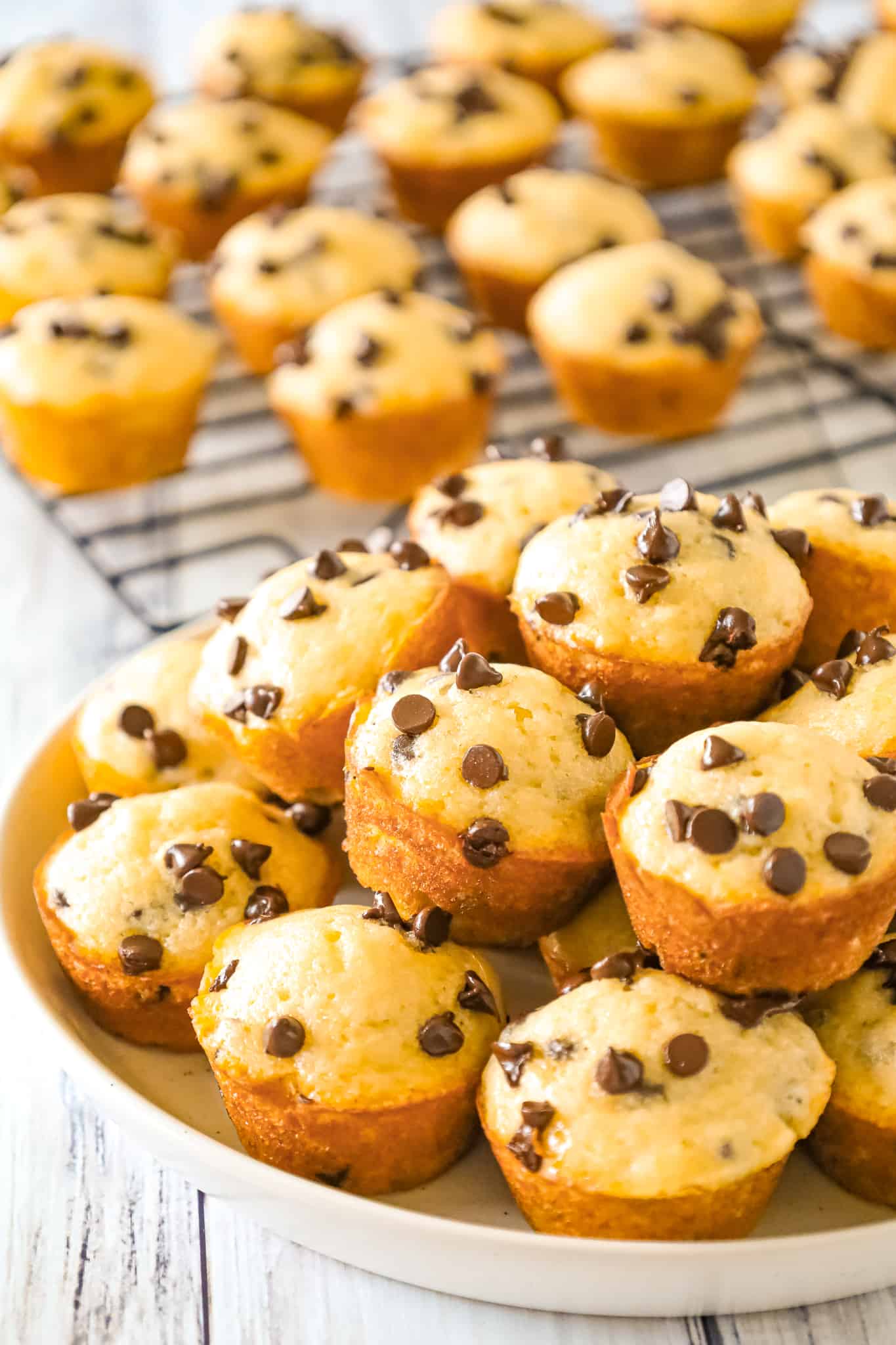 Mini Chocolate Chip Muffins are a tasty bite sized snack recipe that is sure to please both kids and adults.