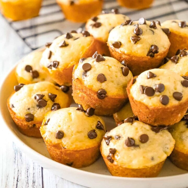 Mini Chocolate Chip Muffins are a tasty bite sized snack recipe that is sure to please both kids and adults.