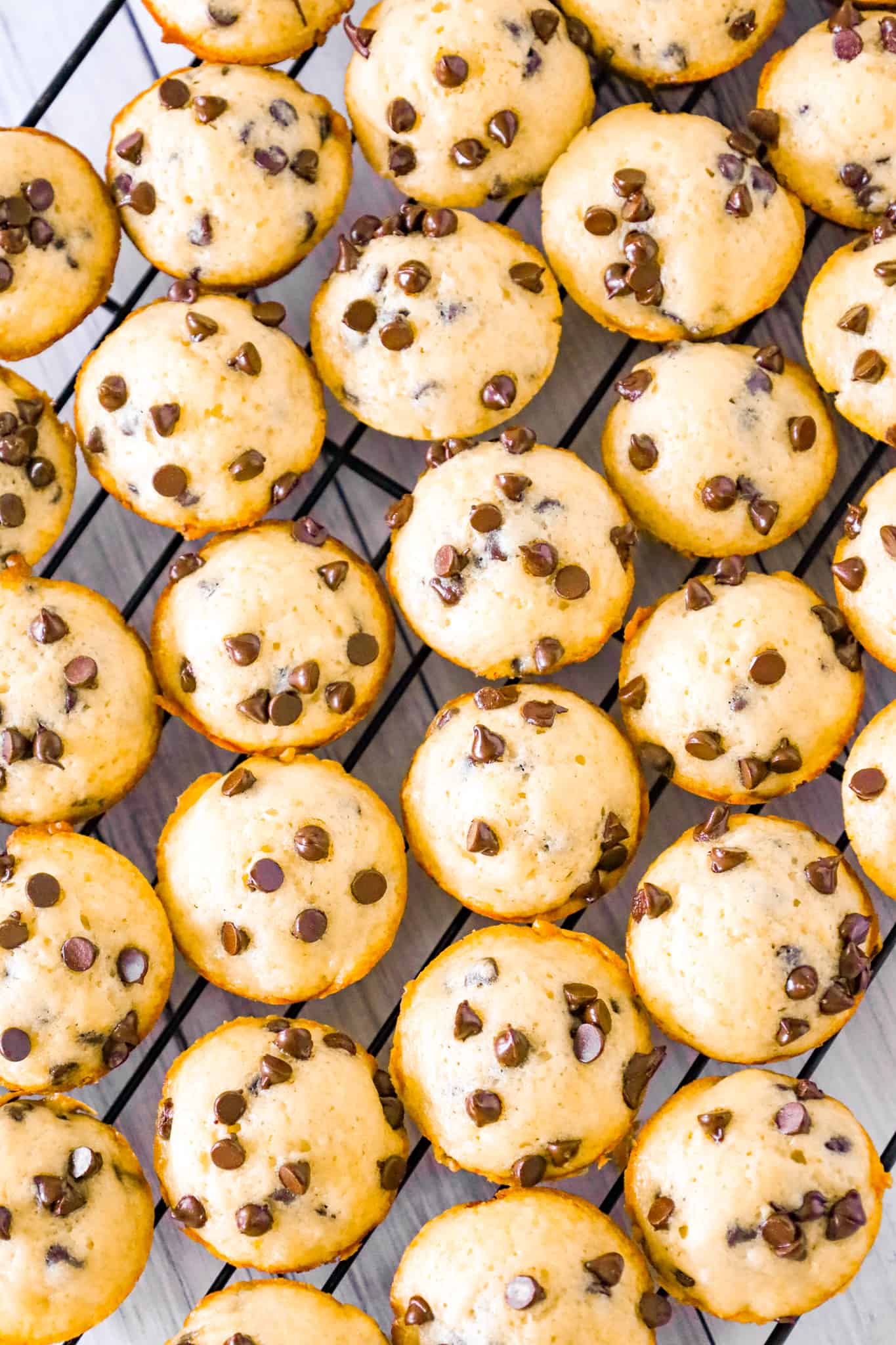 Mini Chocolate Chip Muffins are a tasty bite sized snack recipe that is sure to please both kids and adults.