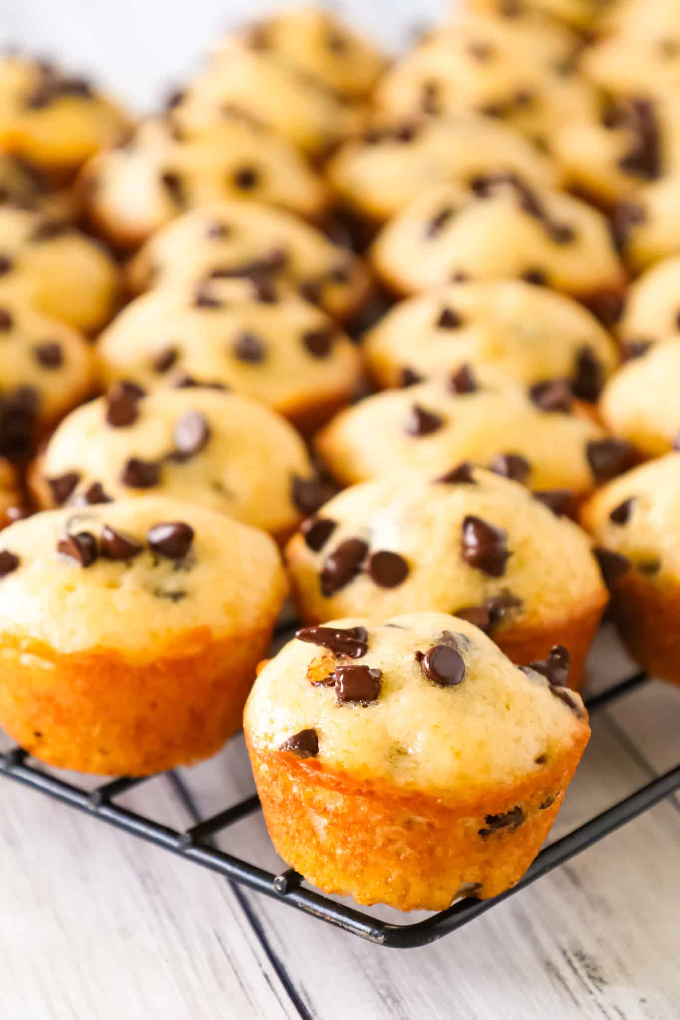 Mini Chocolate Chip Muffins are a tasty bite sized snack recipe that is sure to please both kids and adults.