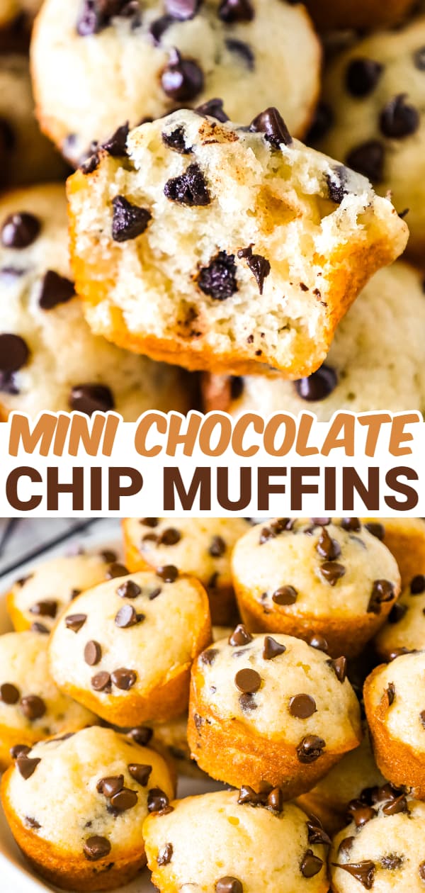 Mini Chocolate Chip Muffins are a tasty bite sized snack recipe that is sure to please both kids and adults.