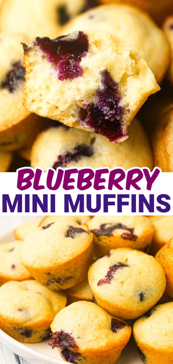 Mini Blueberry Muffins are tasty bite sized snacks loaded with fresh blueberries.