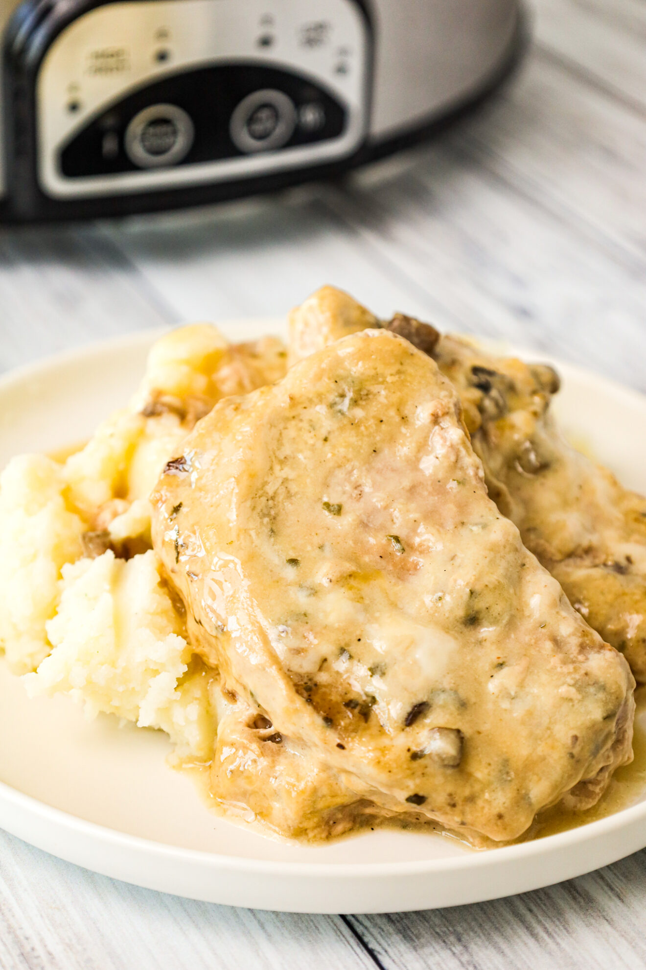 3 Ingredient Crock Pot Pork Chops THIS IS NOT DIET FOOD