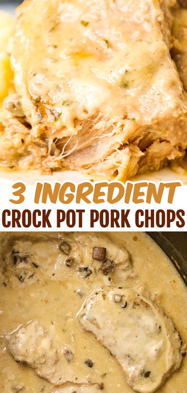  3 Ingredient Crock Pot Pork Chops are an easy slow cooker dinner recipe made with condensed cream of mushroom soup and ranch dressing mix.