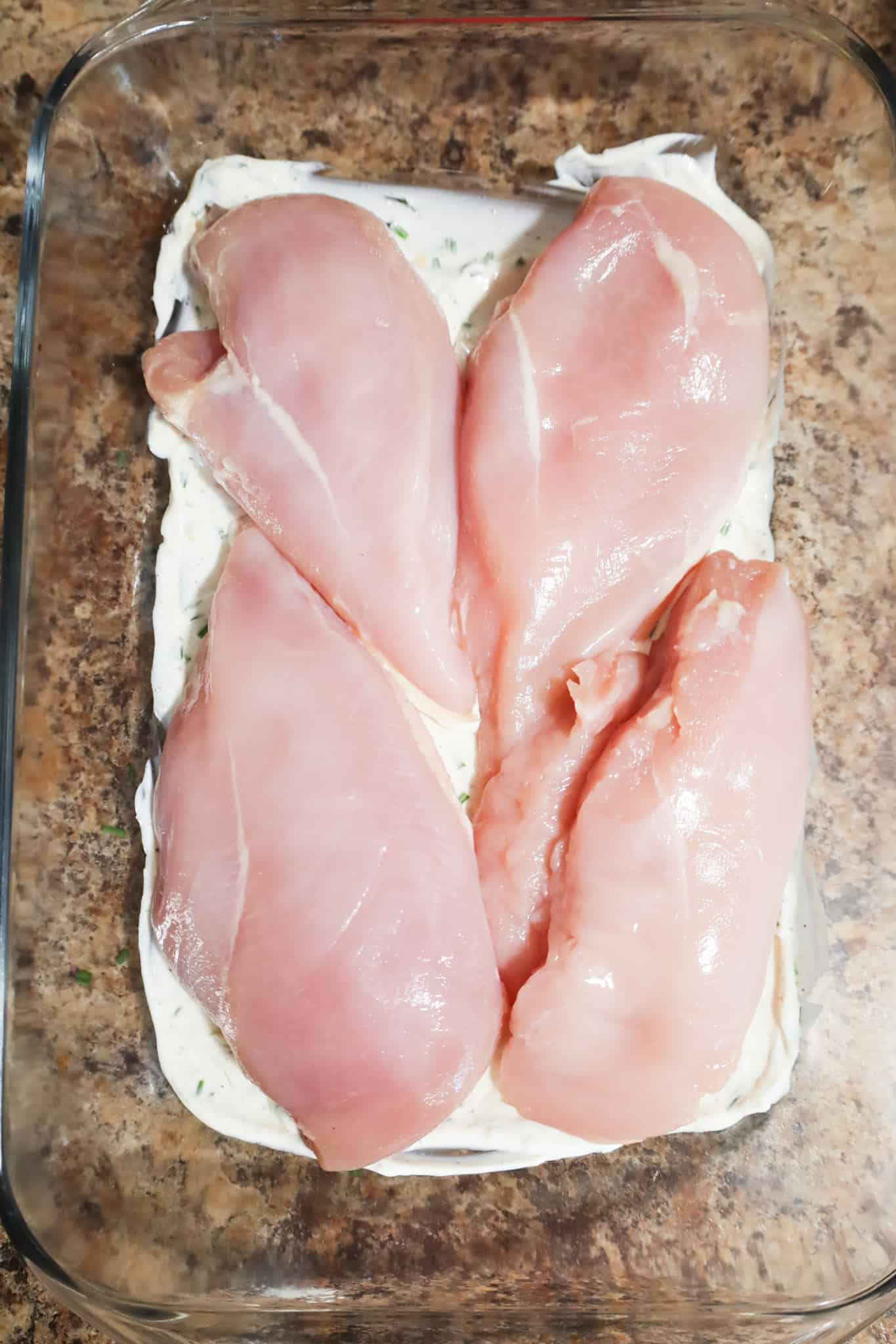 boneless, skinless chicken breasts on top of sour cream mixture in a baking dish
