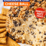 Chocolate Chip Cheese Ball – the ultimate sweet party dip! This easy no-bake dessert features creamy cream cheese & butter blended with powdered sugar, brown sugar, vanilla, mini chocolate chips, and crunchy Skor toffee bits. Rolled in more chocolate chips, toffee, and chopped pecans for extra texture. Serve with graham crackers, animal cookies, or pretzels – perfect for holidays, game days, or any gathering! 🍪🧀🍫 #ChocolateChipCheeseBall #NoBakeDessert #PartyDip #SweetAppetizer #CheeseBallRecipe #EasyDessert #ChocolateToffee #DessertDip