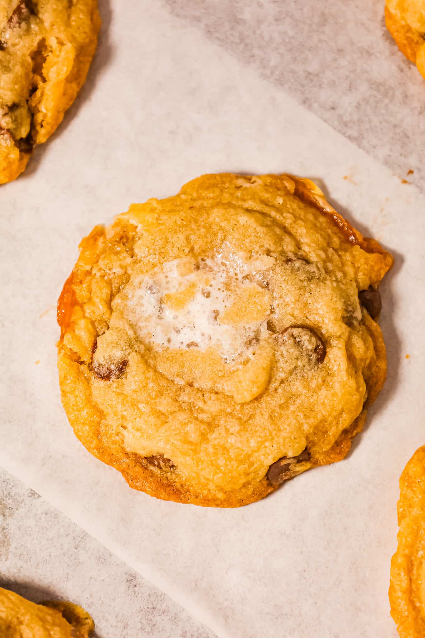 Chocolate Chip Marshmallow Cookies are delicious chewy cookies loaded with semi sweet chocolate chips and gooey mini marshmallows.