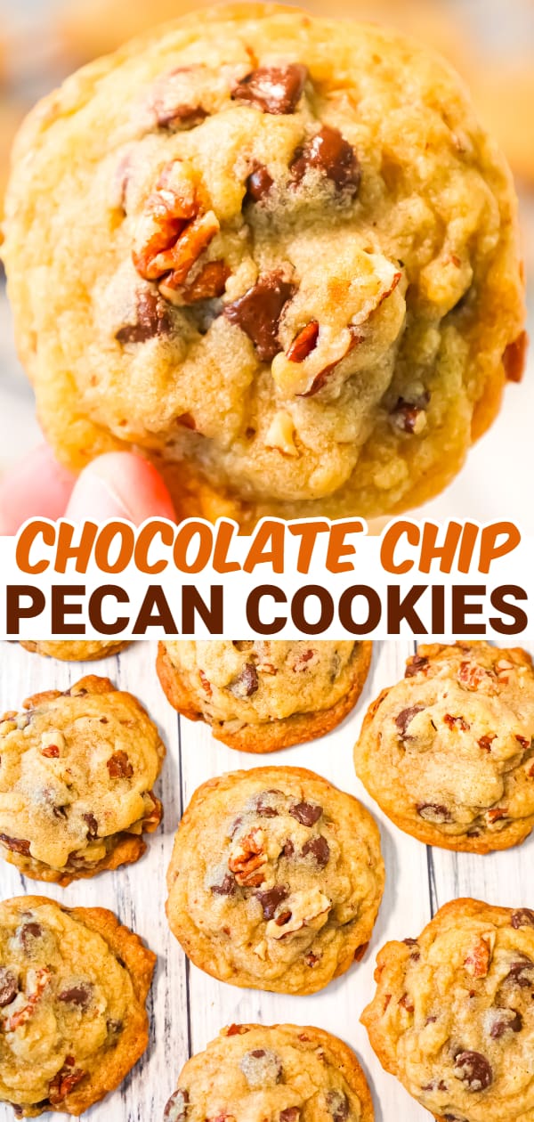 Chocolate Chip Pecan Cookies are delicious chewy cookies loaded with semi sweet chocolate chips and chopped pecans.