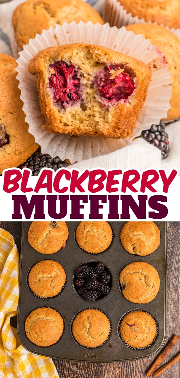 Blackberry Muffins are the perfect snack or breakfast food. These tasty muffins are seasoned with cinnamon and loaded with fresh blackberries.