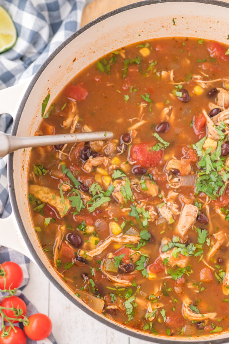 Chicken Taco Soup - THIS IS NOT DIET FOOD