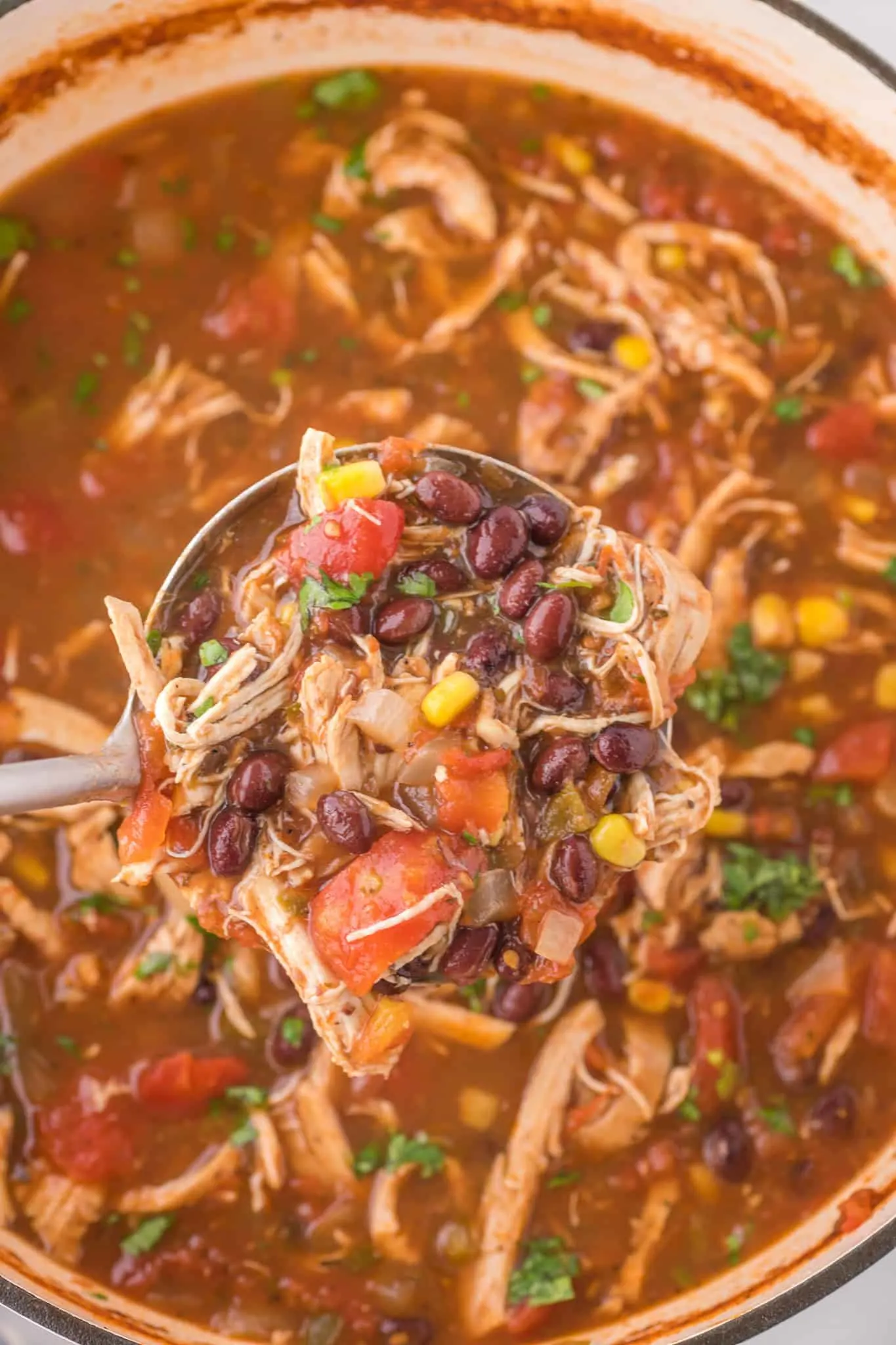 ladle of chicken taco soup