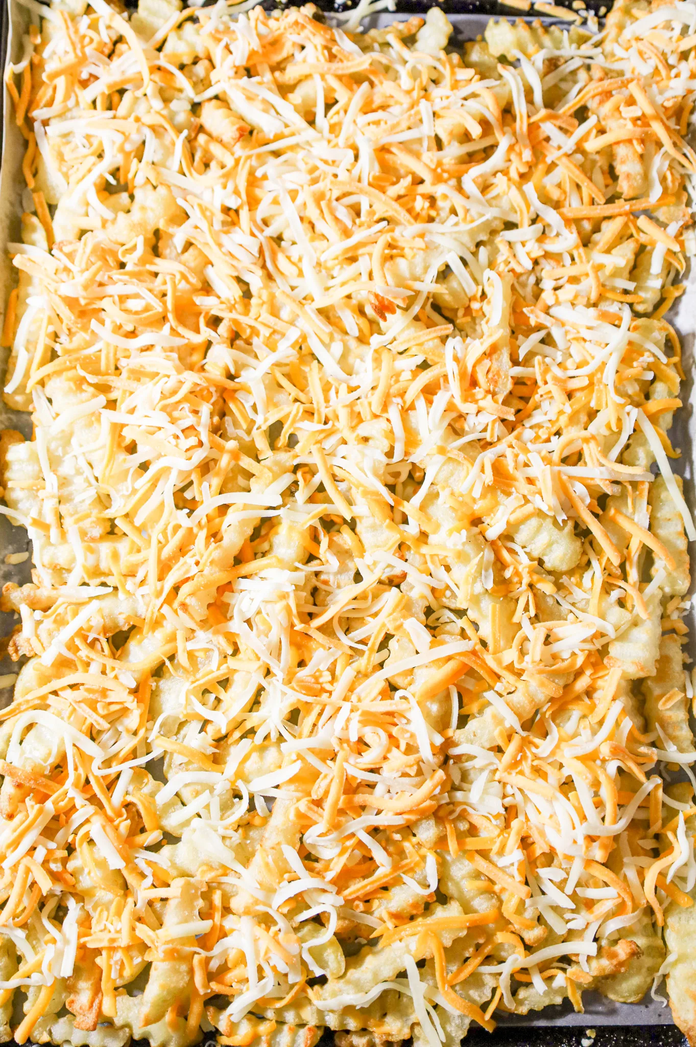 shredded cheddar and mozzarella cheese on top of crinkle cut fries on a baking sheet