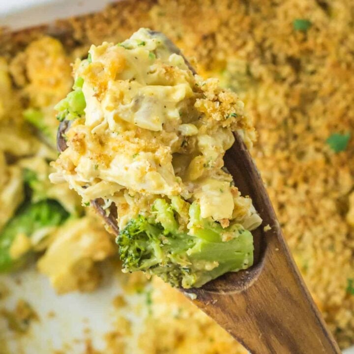 Chicken Divan is a creamy, cheesy chicken and broccoli casserole with a breadcrumb topping.