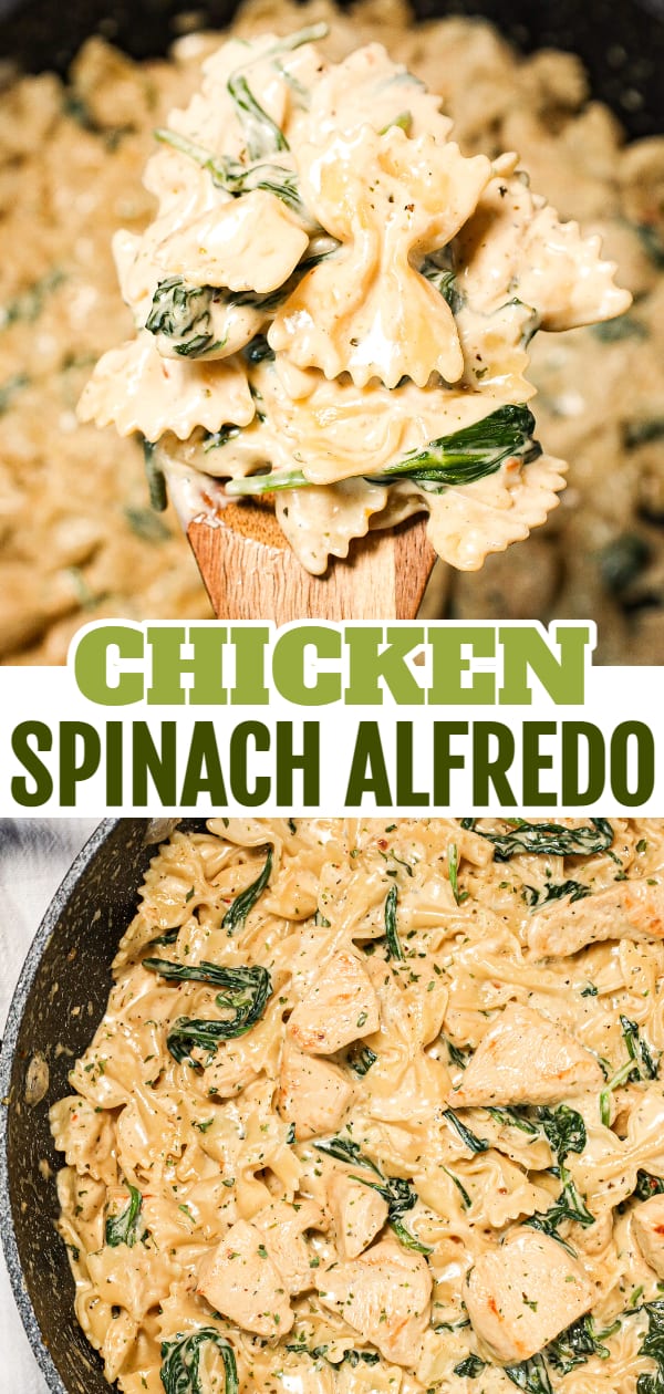 Chicken Spinach Alfredo is a creamy garlic parmesan pasta loaded with spinach and chicken breast chunks.