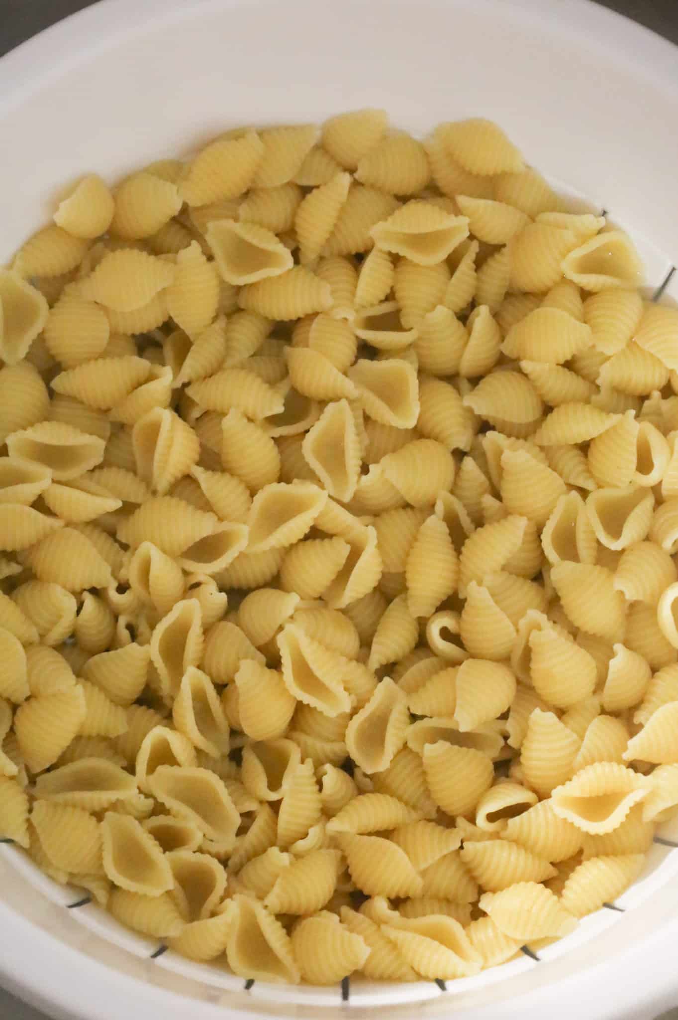 cooked small pasta shells