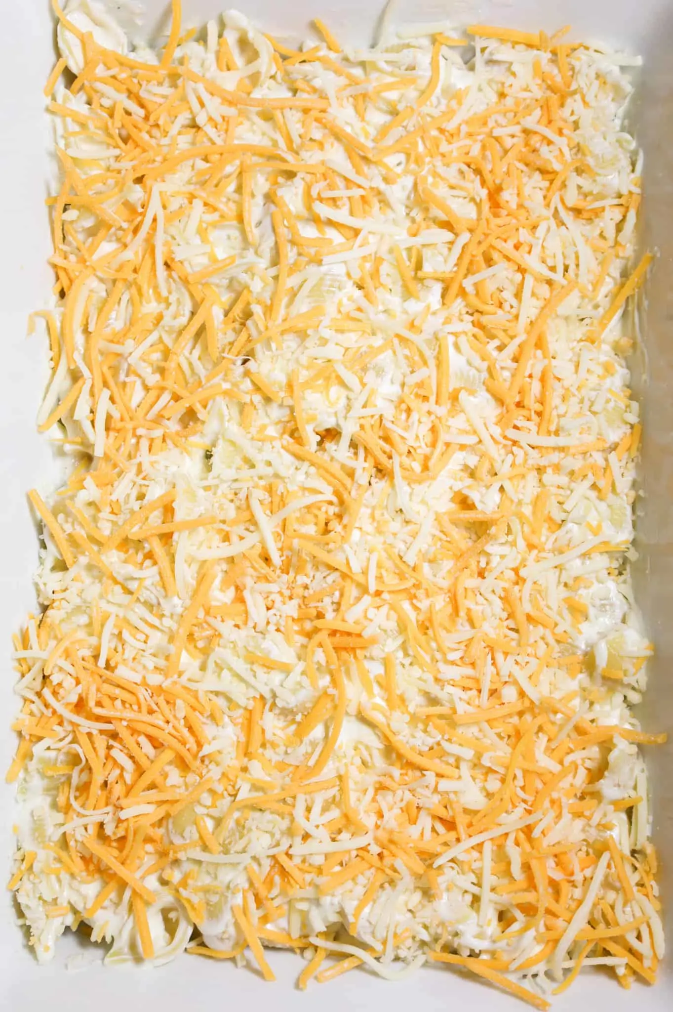 shredded cheese on top of creamy shell pasta in a casserole dish