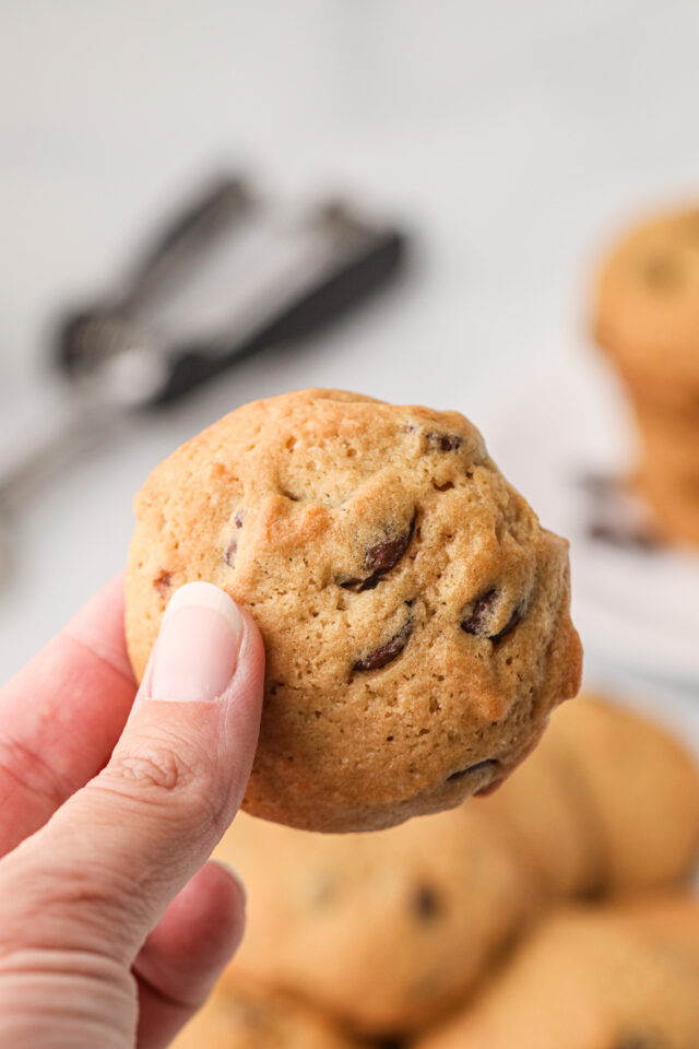 Air Fryer Chocolate Chip Cookies THIS IS NOT DIET FOOD