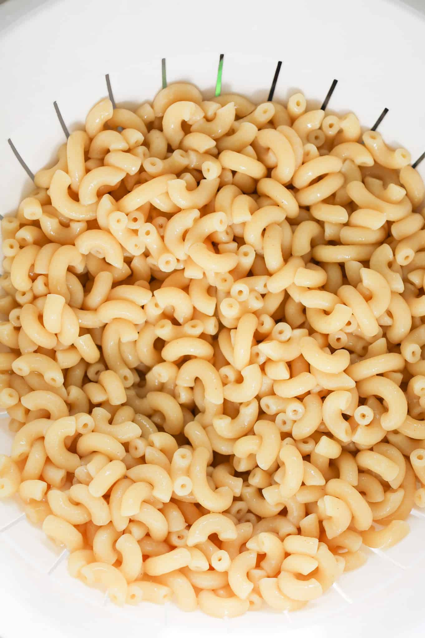 cooked macaroni noodles in a colander