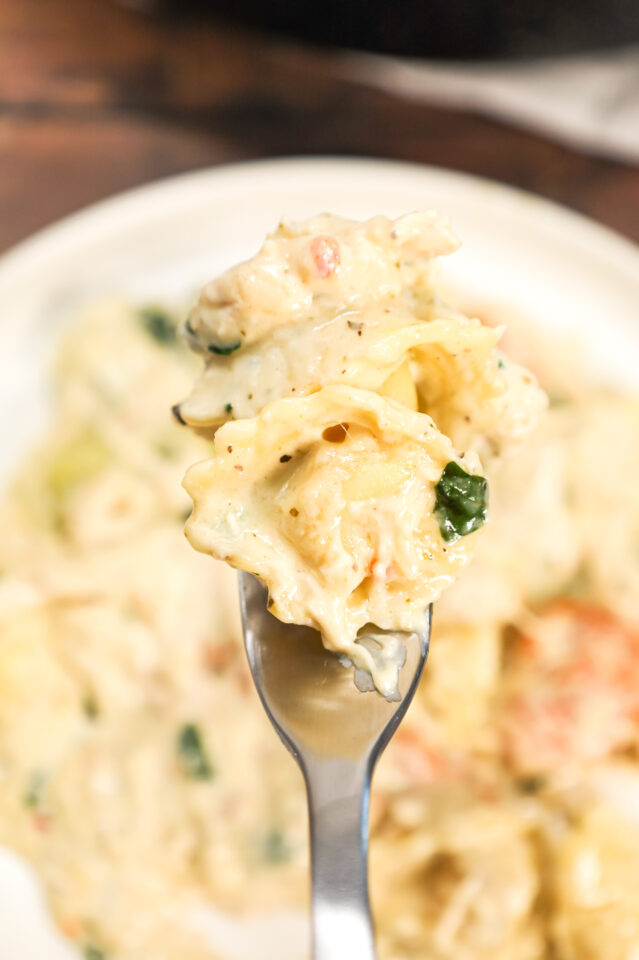 Chicken Tortellini Alfredo THIS IS NOT DIET FOOD