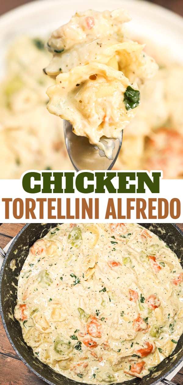 Chicken Tortellini Alfredo is an easy pasta recipe made with store bought cheese tortellini and shredded rotisserie chicken all tossed in a creamy garlic and parmesan sauce.