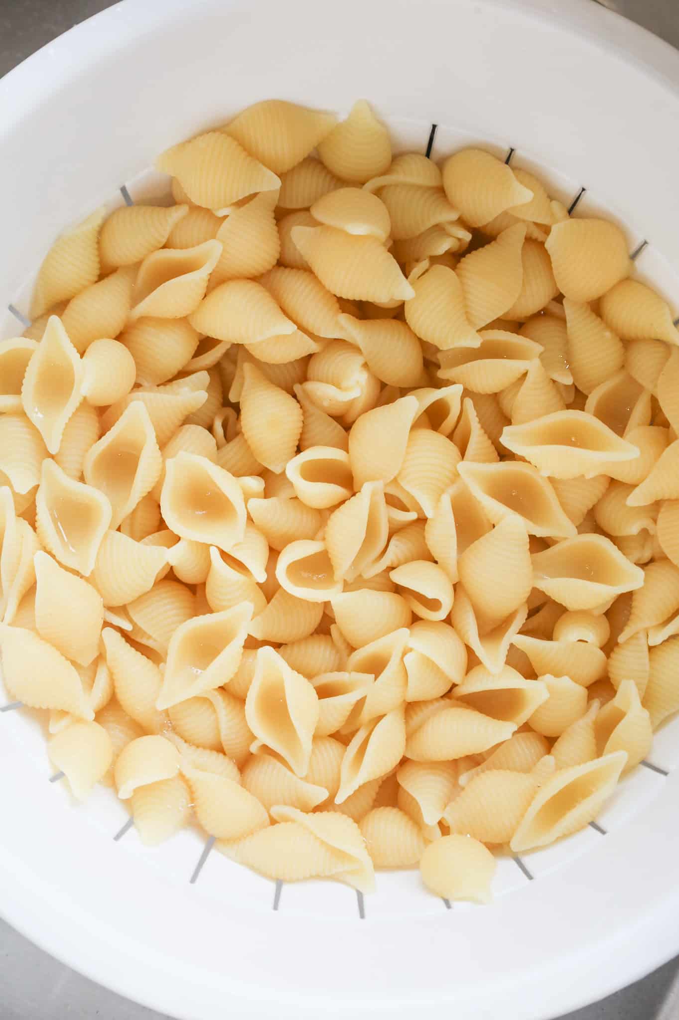 cooked shell pasta in a colander