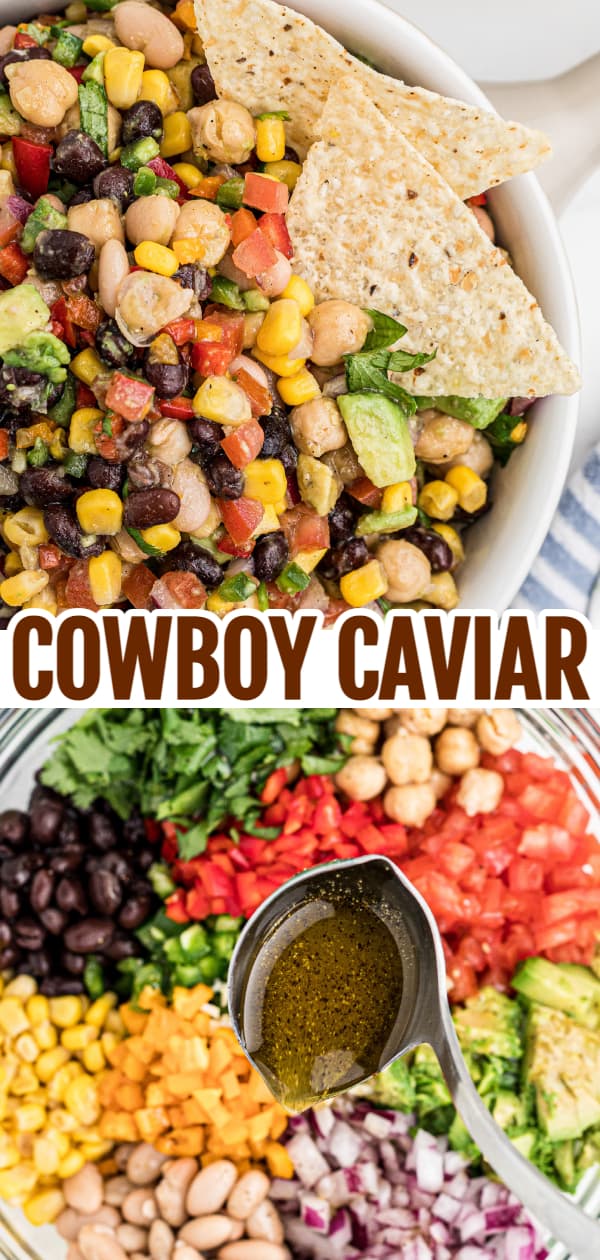 Cowboy Caviar is a delicious cold dip recipe loaded with a variety of beans, avocado, tomatoes, corn, peppers, onions and fresh cilantro.