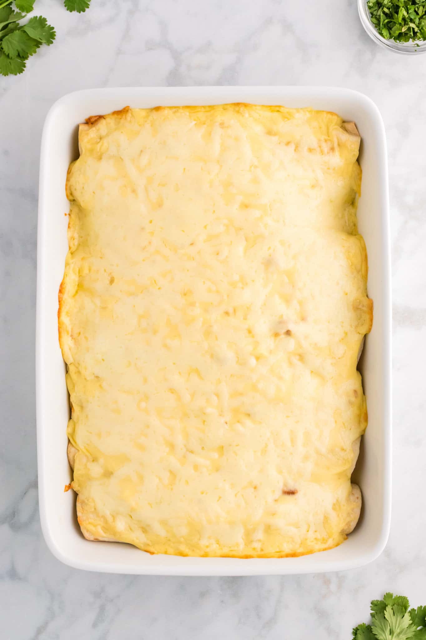 creamy chicken enchiladas after baking