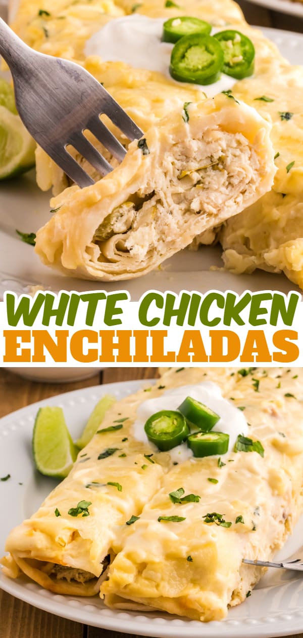 White Chicken Enchiladas are delicious baked tortillas filled with shredded chicken, cream cheese and green chilis baked in a creamy sauce and topped with cheese.