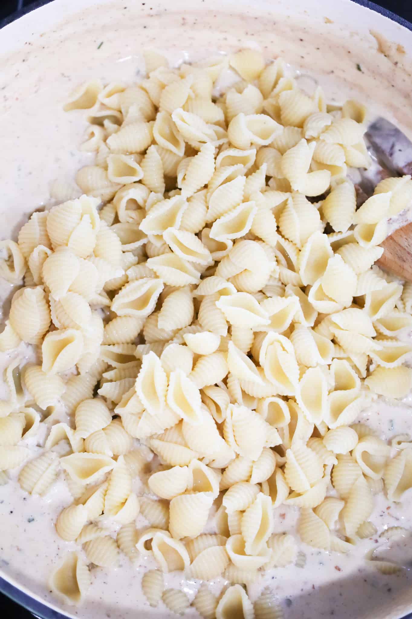 cooked pasta shells added to skillet with cream sauce