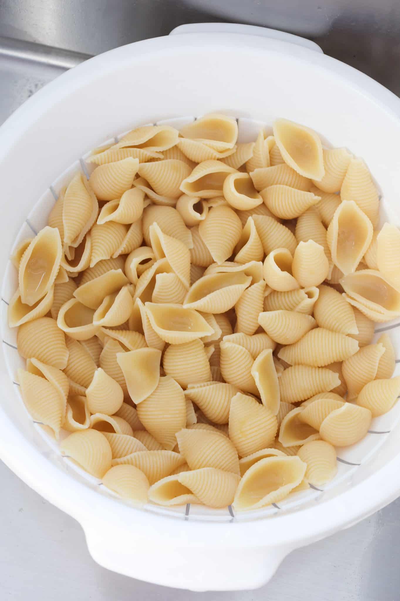 cooked pasta shells in a colander