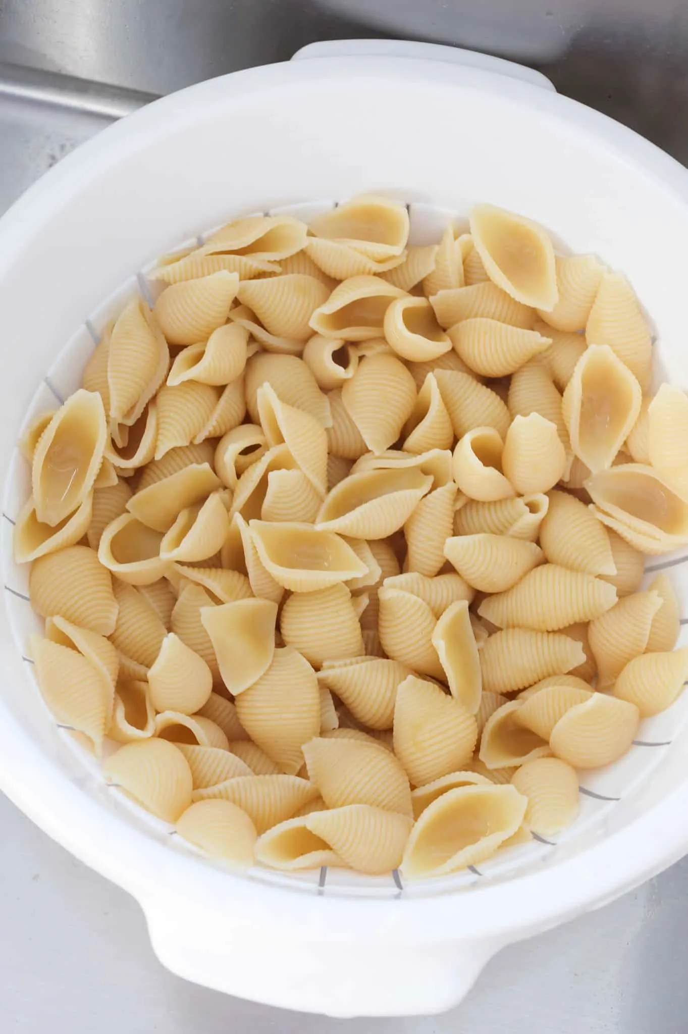 cooked pasta shells in a colander