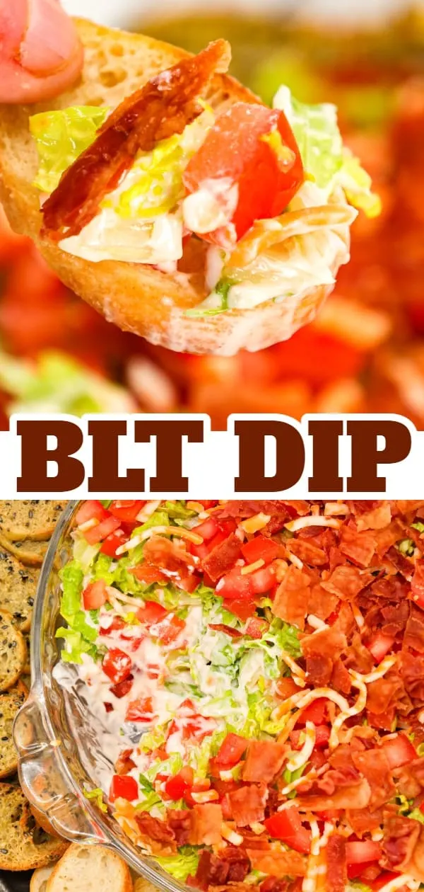 BLT Dip is an easy cold dip recipe loaded with mayo, ranch dressing, cheddar cheese, shredded lettuce, diced tomatoes and bacon.