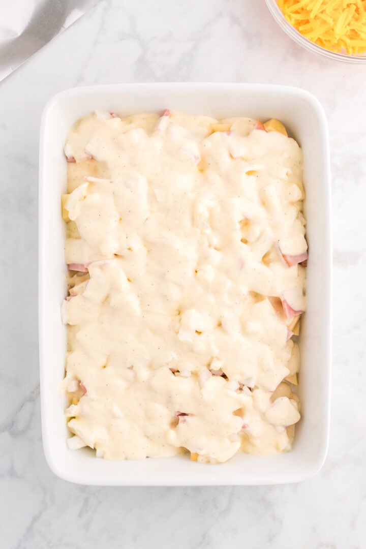 Cheesy Ham and Potato Casserole - THIS IS NOT DIET FOOD
