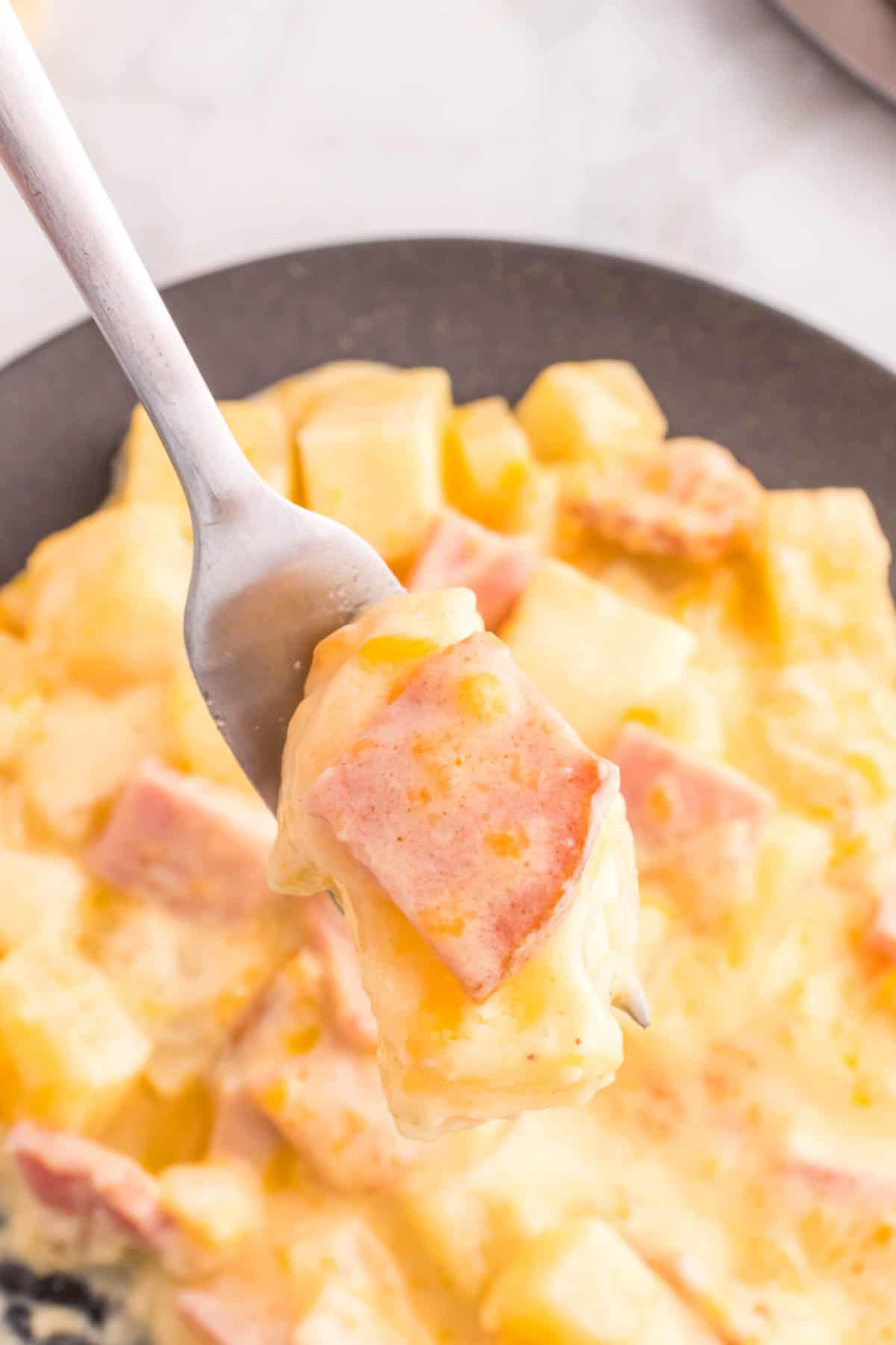 Cheesy Ham and Potato Casserole is a hearty dish loaded with diced potatoes, ham and onions all covered in a creamy sauce and baked with cheddar cheese on top.