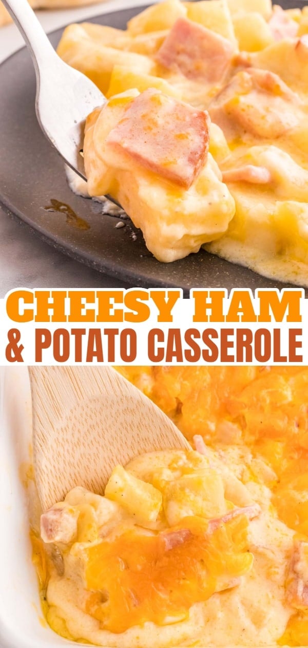 Cheesy Ham and Potato Casserole is a hearty dish loaded with diced potatoes, ham and onions all covered in a creamy sauce and baked with cheddar cheese on top.