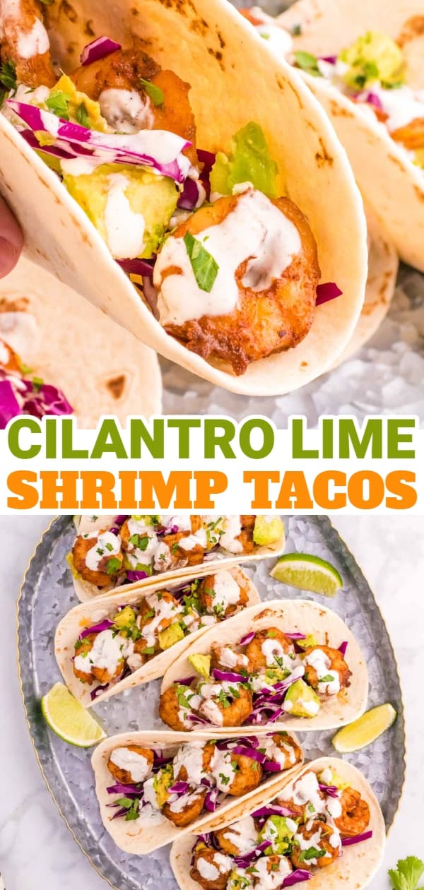 Cilantro Lime Shrimp Tacos are tasty tacos with seasoned shrimp, sliced red cabbage, diced avocados and a creamy dressing made with mayo, Greek yogurt, lime juice and cilantro.