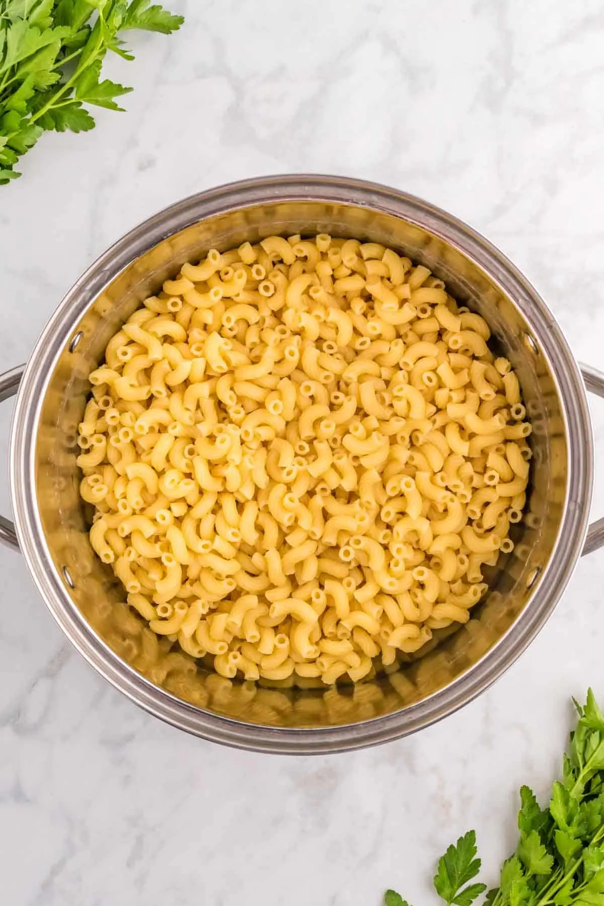 cooked and drained macaroni noodles